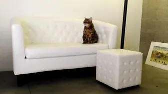 jayne420  cam live record 2017 22 of October