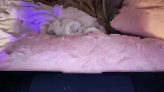 maddieblair1 Chaturbate 2026-01-14 Topless