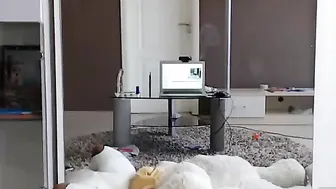 Bubblekush7 Bitch with huge tits fucks with dildo