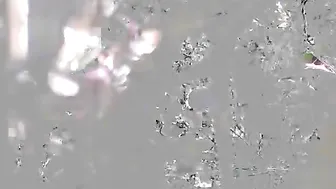 ButterflySay показала на камеру свои прелести