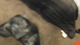 cosmicneko wicked girl fingers her shaved holes