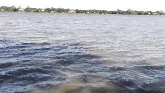 Chezza Luna pretty female having fun with phallus