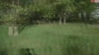 CaroCream video from ticket show 13.06.2019