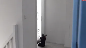 bibixxx sexy chick relish pussy