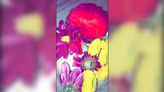 Ana Dhara manyvids manyvids