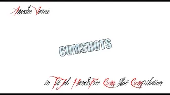 Amedee Vause  manyvids on air 15.10.2019