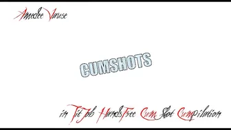 Amedee Vause manyvids porn record 23.09.2019