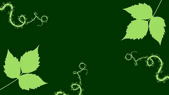 EmiliaSong manyvids fucking bitch in stockings seduces with beautiful legs