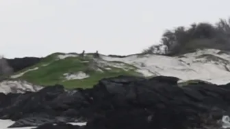 Haley420 manyvids webcam 22.09.2019