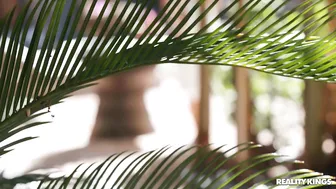 Indica caresses gorgeous ass