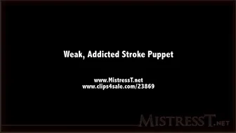 clips4sale Mistress T - weak addicted stroke puppet 720p