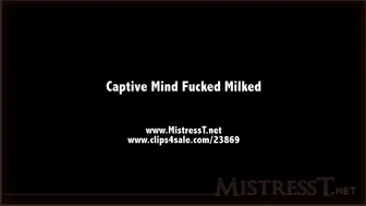 clips4sale Mistress T - captive mind fucked milked 720p