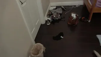 clips4sale Family Manipulation - Kenzi Reeve Dad. Ill Let You Play if You Dont Tell Mom 480p