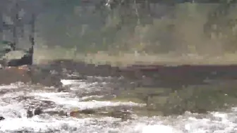 [OnlyFans.com] Phoenix Starr shy doll fucks pussy with dildos