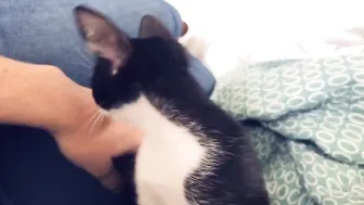 Sophie Dee homemade vaginal sex on camera