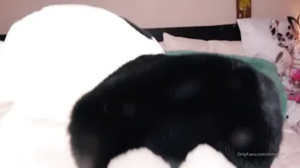 Dotti Pink  chaturbate January 2020