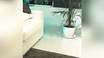 BRIANA BANDERAS ONLYFANS My squir ting Exclusiveonly here