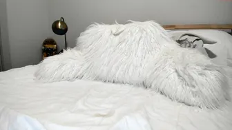 texasthicc 05022020 2324 female chaturbate