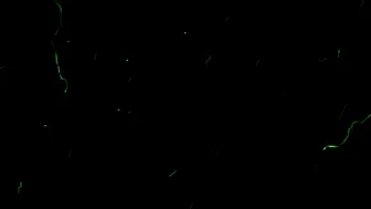 fiorafierce ass worship 2020 01 07 M2KlZ8