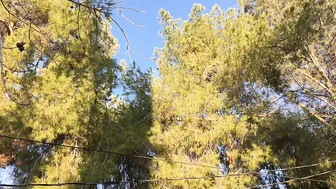 christie stevens onlyfans_10