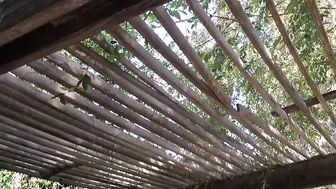 christie stevens onlyfans_11