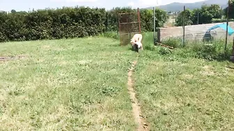 rossella visconti onlyfans the sun naked in my garden