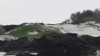 Haley420 -Public BJ On The Beach