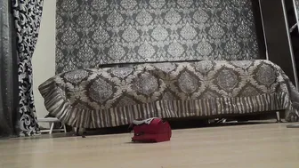 Mistress Misha Goldy Crushing musical car on russian langua