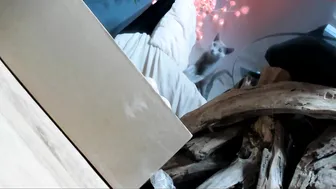 sastina 9.02.2020 025_female chaturbate