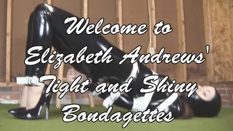 OFFICEPERILS  _TS_MR_catsuit_ipod_hd (1)