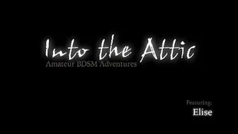 INTO THE ATTIC  _B_501_0011_Elise_RT2_1.