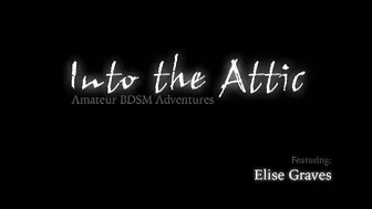 INTO THE ATTIC  _B_498_0005_Elise_RT1_CC1.