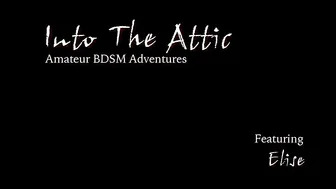 INTO THE ATTIC  _0133_Elise_RT11_bonus