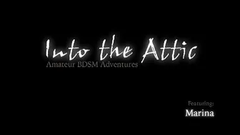 INTO THE ATTIC  _0027_Marina_RT0_5