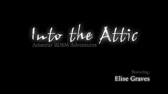 INTO THE ATTIC  _B_498_0005_Elise_RT1_2.