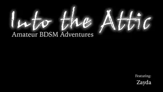 INTO THE ATTIC  _0049_Zayda_RT1_5