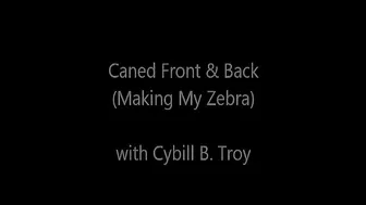 CYBILLTROY _Caned Front & Back _ Making My Zebra