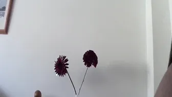 Kelly Hart &_40 (13)