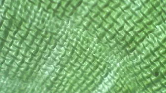 Kelly Hart &_40 (17)