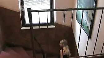 Sherly-N18 3er Fick mit Annistar