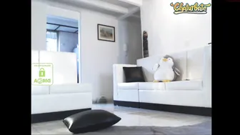 alexia_cardona 2.05.2020 632 female chaturbate