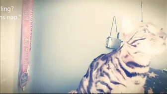 jilliandrake an about me film 720p