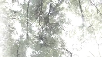 kinky casey jurassic bait 20p