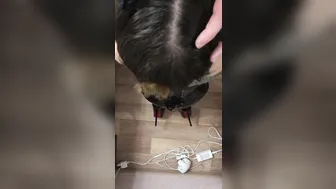 onlyfans elvyshine (@elvyshinelatex_3yctfydhcislh99pvwpicqketamna056