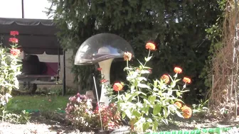 Doris Dawn Outdoor Upskirt Bending In My Beige Pelerine