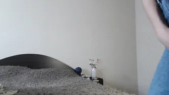 college_girl_ 5.42.020 45 female chaturbate