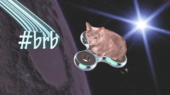 arikajoy 9.06.2020 314 webcam vids 2020