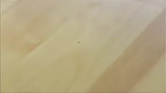 Sandra Latina_Tiny Little Speck