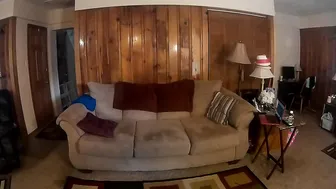 annabelle bestia pokemon trainer work form home