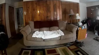 annabelle bestia harry potter and the hufflepuffs lust